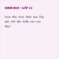 Trắc nghiệm Sinh học Bài 13 (có đáp án): Giun đũa - Thumbnail