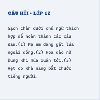 Tự luận Luyện tập về chủ ngữ có đáp án