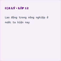 Bộ đề thi giữa kì 1 Địa lý 12 cấu trúc mới có đáp án - Đề 1