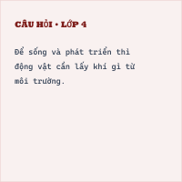 Trắc nghiệm Khoa học lớp 4 Bài 14 có đáp án