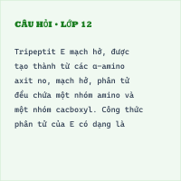 2.1. Xác định công thức phân tử peptit