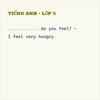 Bài tập Tiếng Anh lớp 5 Unit 17: What would you like to eat? có đáp án