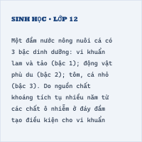 Trắc nghiệm Sinh Học Bài 47 (có đáp án): Ôn tập phần tiến hóa và sinh thái học
