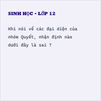 Trắc nghiệm Sinh Bài 39 (có đáp án): Quyết - Cây dương xỉ