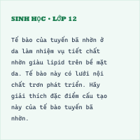 Đề kiểm tra Giữa học kì 1 Sinh 10 có đáp án - Đề 2