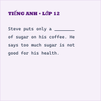 Đề cương ôn tập cuối kì 1 Tiếng Anh 7 iLearn Smart World có đáp án - Part 4. Vocabulary and Grammar