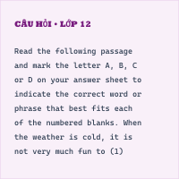Bài tập Trắc nghiệm Unit 10 Reading - Thumbnail