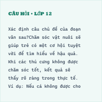Trắc nghiệm Luyện tập về câu chủ đề của đoạn văn có đáp án