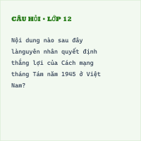 Trắc nghiệm Lịch sử 9 Bài 8 có đáp án (Phần 5)