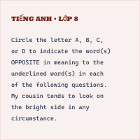 Đề thi giữa học kì 2 Tiếng Anh lớp 8 Friends Plus có đáp án (Đề 1)
