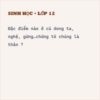 Đề thi giữa kì 1 Sinh học 6 (Đề 2) - Thumbnail