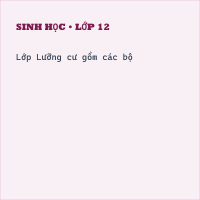 Trắc nghiệm Sinh Học Bài 37: (có đáp án) Đa dạng và đặc điểm chung của lớp lưỡng cư (phần 2)