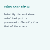 Đề kiểm tra cuối kì I Tiếng Anh 8 (Mới nhất) - Đề 26