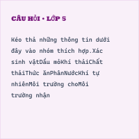 Tự luận Khoa học lớp 5 Bài 28 có đáp án