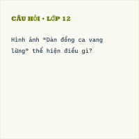 Trắc nghiệm Điều kì diệu có đáp án