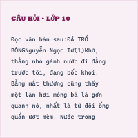 Đề minh họa thi vào lớp 10 môn Ngữ văn năm 2025 - Phòng GD Tân Bình (Truyện) có đáp án