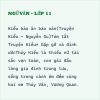 Bộ đề thi giữa kì Ngữ Văn lớp 11 có đáp án - Đề 13