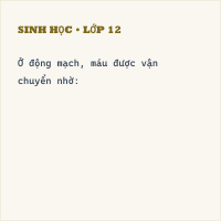 Bộ đề thi Học kì 1 Sinh học 8 có đáp án - Đề 11