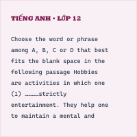 Bộ đề thi cuối kỳ 2 môn Tiếng Anh 11 năm 2023-2024 có đáp án (Đề 2)