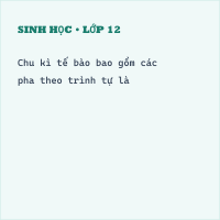 Trắc nghiệm Sinh học 10 Bài 16 có đáp án - Thumbnail