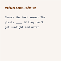 Trắc nghiệm Tiếng Anh 8 Unit 6 - Ngữ pháp: Câu điều kiện loại 1 - có đáp án
