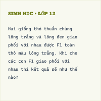Bộ đề thi Học kì 1 Sinh học 9 có đáp án(Đề 14)