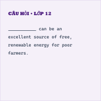 II. Vocabulary and Grammar