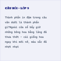 Trắc nghiệm: Ôn tập tiếng việt lớp 9 học kì II