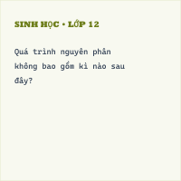 Bộ Đề kiểm tra Giữa học kì 2 Sinh học 10 có đáp án- Đề 1