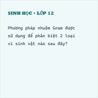 Đề kiểm tra Giữa học kì 2 Sinh học 10 có đáp án- Đề 2