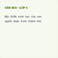 Trắc nghiệm Khoa học lớp 5 Bài 24 có đáp án (Phần 2)