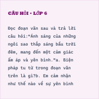 Đề thi vào lớp 6 môn Tiếng Việt Sở trường Lê Lợi - Đà Nẵng có đáp án