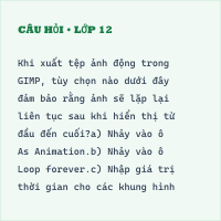 Tự luận Tin học 11 Bài 28 có đáp án - Thumbnail