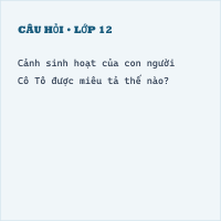Trắc nghiệm Cô Tô có đáp án