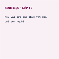 Đề thi Sinh học 6 học kì 2 cực hay, có đáp án (Đề 2)