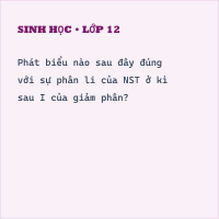 Đề kiểm tra giữa học kì 2 Sinh học 10 có đáp án (Đề 2)