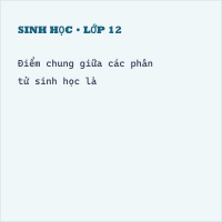 Trắc nghiệm Sinh học 10 Bài 5 có đáp án - Thumbnail