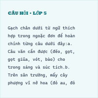 Bài tập cuối tuần Tiếng Việt lớp 5 KNTT Tuần 6 có đáp án