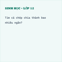 Trắc nghiệm Sinh học Bài 33 (có đáp án): Cấu tạo trong của cá chép