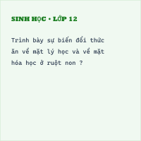 Bộ đề thi Học kì 1 Sinh học 8 có đáp án - Đề 15