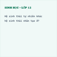 Trắc nghiệm Sinh Học Bài 42 (có đáp án): Hệ sinh thái