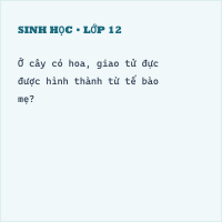 Trắc nghiệm Sinh Học Bài 42 (có đáp án): Sinh sản hữu tính ở thực vật (Phần 1)
