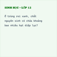 Đề thi Sinh học 7 học kì 1 có đáp án (Đề 5) - Thumbnail