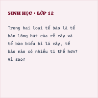 Đề kiểm tra học kì 1 Sinh học 10 có đáp án - Đề 2