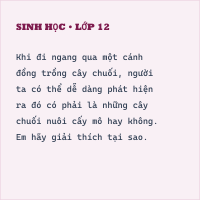 Đề kiểm tra Giữa học kì 2 Sinh học 10 có đáp án- Đề 1