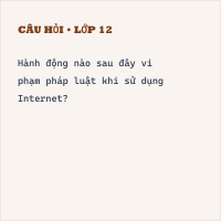 Trắc nghiệm Tin học 9 Bài 4 có đáp án