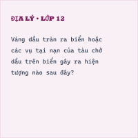 Trắc nghiệm Địa Lí Bài 17 (có đáp án): Ô nhiễm môi trường ở đới ôn hòa