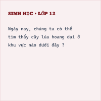 Trắc nghiệm Sinh Bài 45 (có đáp án): Nguồn gốc cây trồng