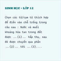 Trắc nghiệm Sinh Bài 11 (có đáp án) : Sự hút nước và muối khoáng của rễ