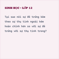 Đề thi giữa kì 2 Sinh học 7 có đáp án (Đề 5)